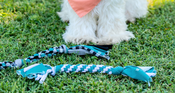 National Dog Day DIY Toy