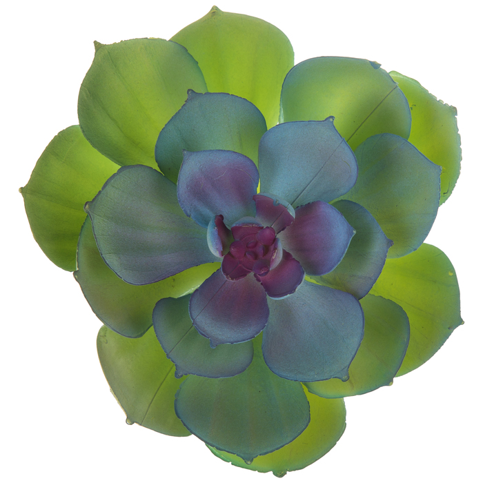 Echeveria Lola Succulent Pick Hobby Lobby 1721604
