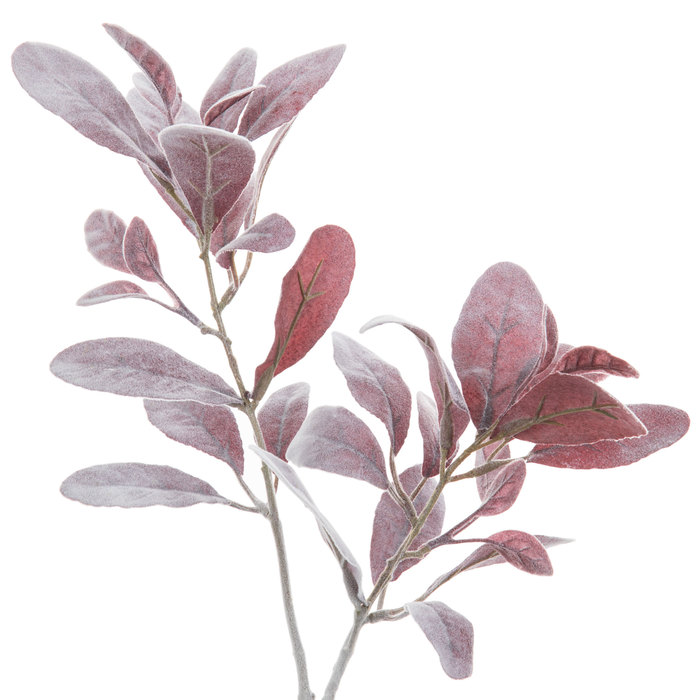 Burgundy Lambs Ear Stem Hobby Lobby 1084342