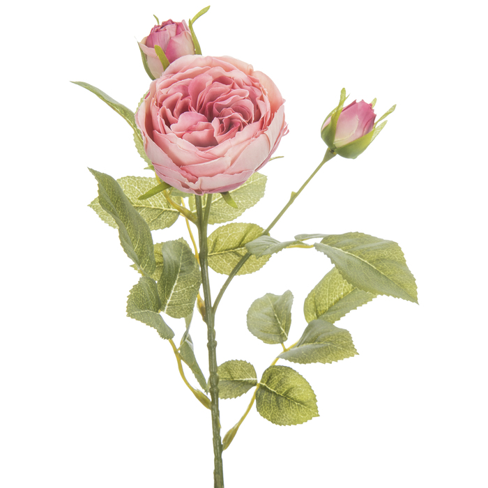 Pink Rose Stem Hobby Lobby 1738079