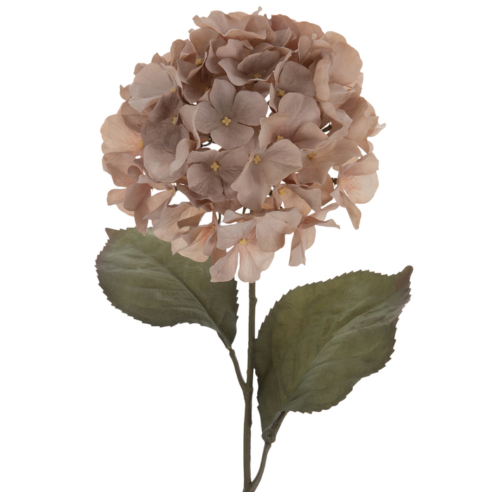 Hydrangea Stem Hobby Lobby
