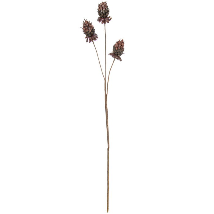 Brown Cynara Stem Hobby Lobby 576082