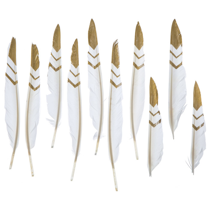 White & Gold Fancy Pointer Feathers 7" 8" Hobby Lobby 1536986