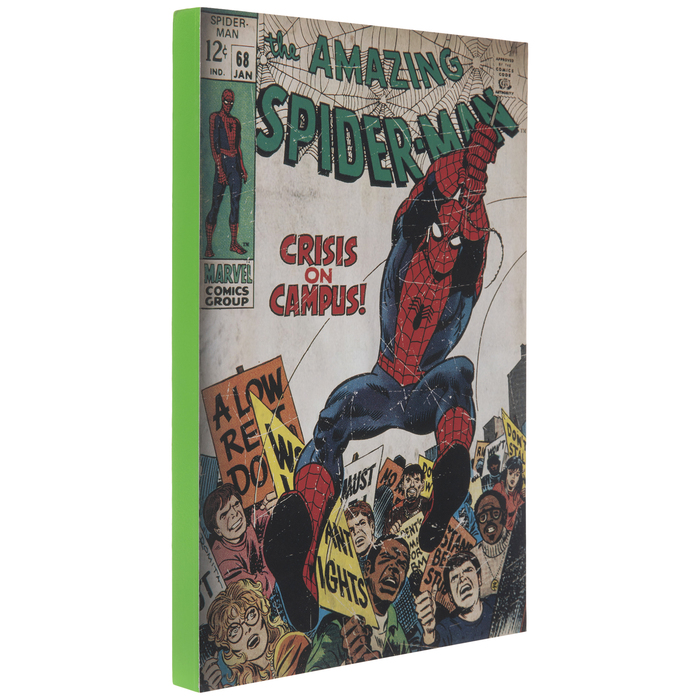 Amazing SpiderMan Comic Wood Wall Decor Hobby Lobby 1633254