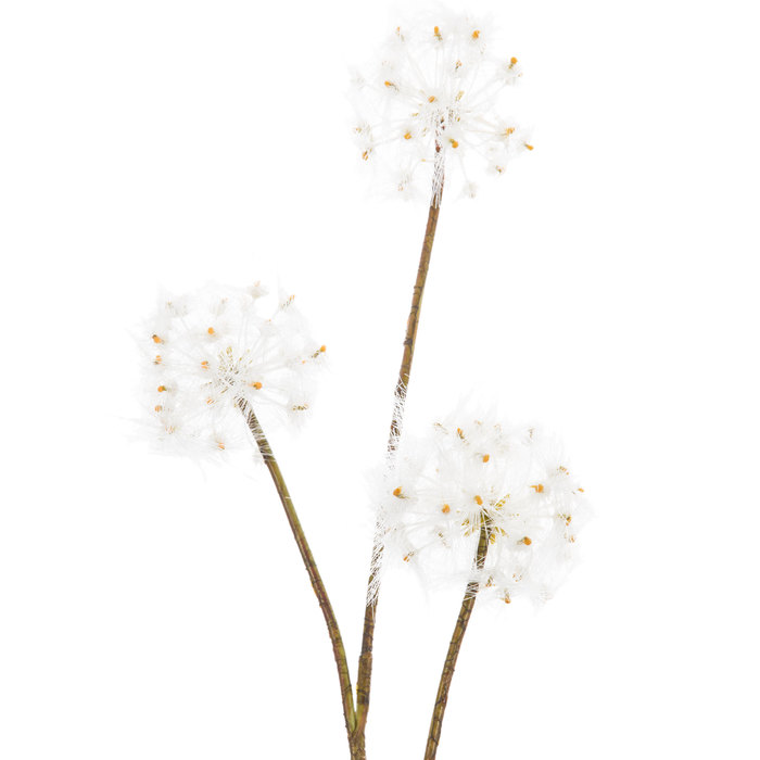 Dandelion Stem Hobby Lobby 1562669
