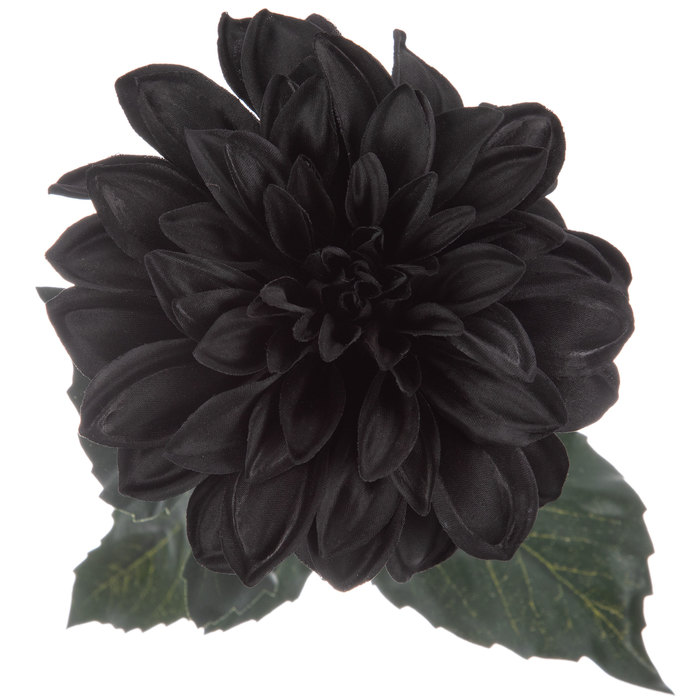 Black Dahlia Stem Hobby Lobby 1397629