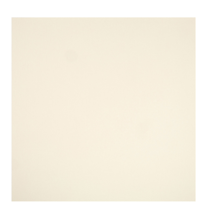 Eggshell Textured Cardstock Paper 12" x 12" Hobby Lobby 604553