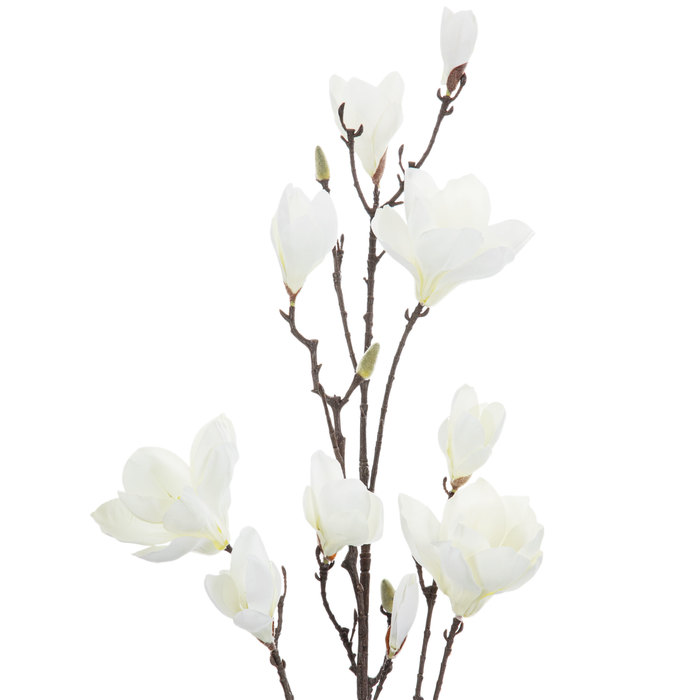 Magnolia Bloom Stem Hobby Lobby 1572072