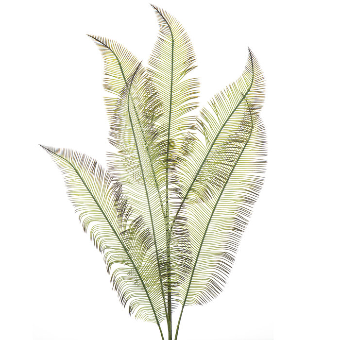 Green Tail Fern Spray Hobby Lobby 456533