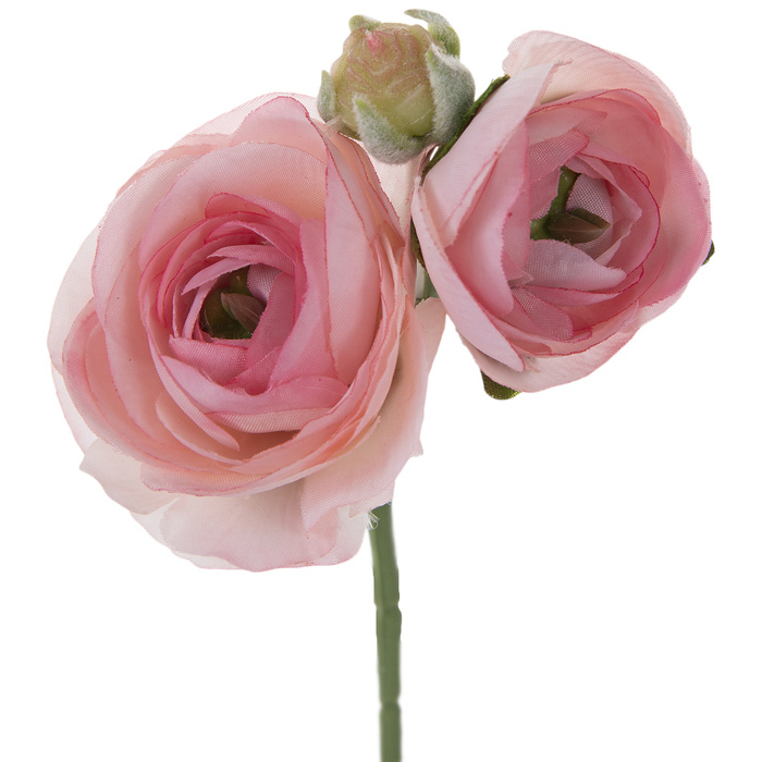 Ranunculus Pick Hobby Lobby