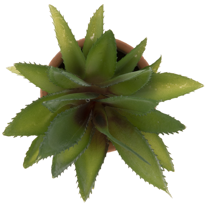 Succulent In Mosaic Terra Cotta Pot Hobby Lobby 1734078