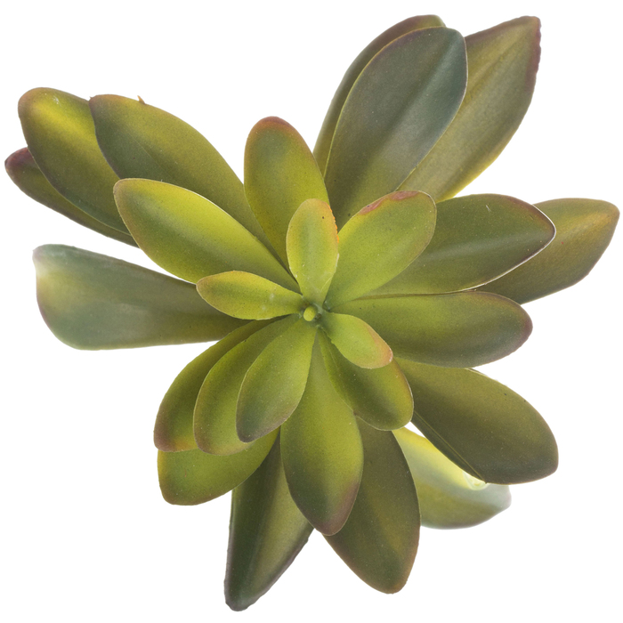 Green Succulent Pick Hobby Lobby 590067
