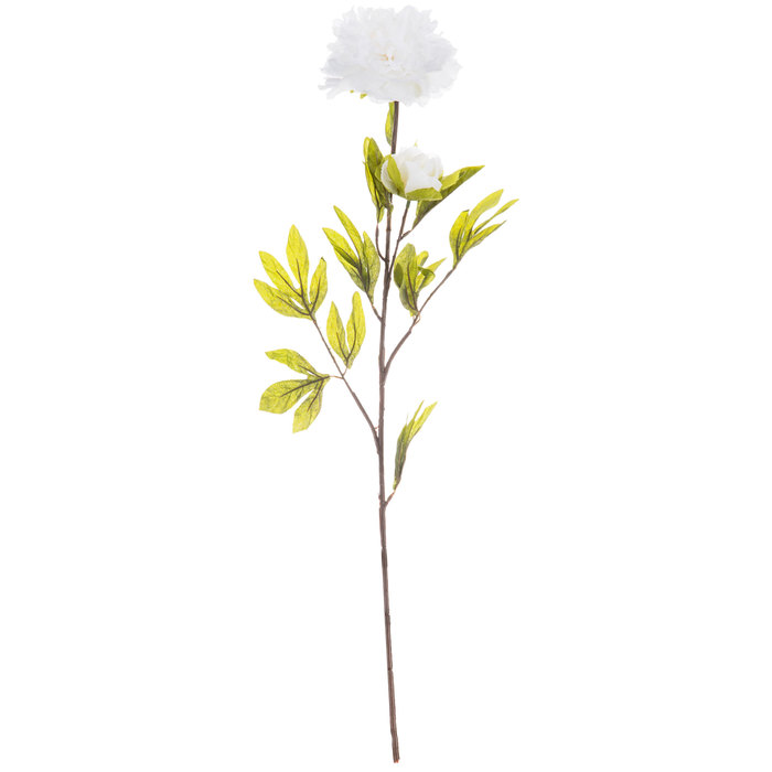 White Peony Stem Hobby Lobby 698738