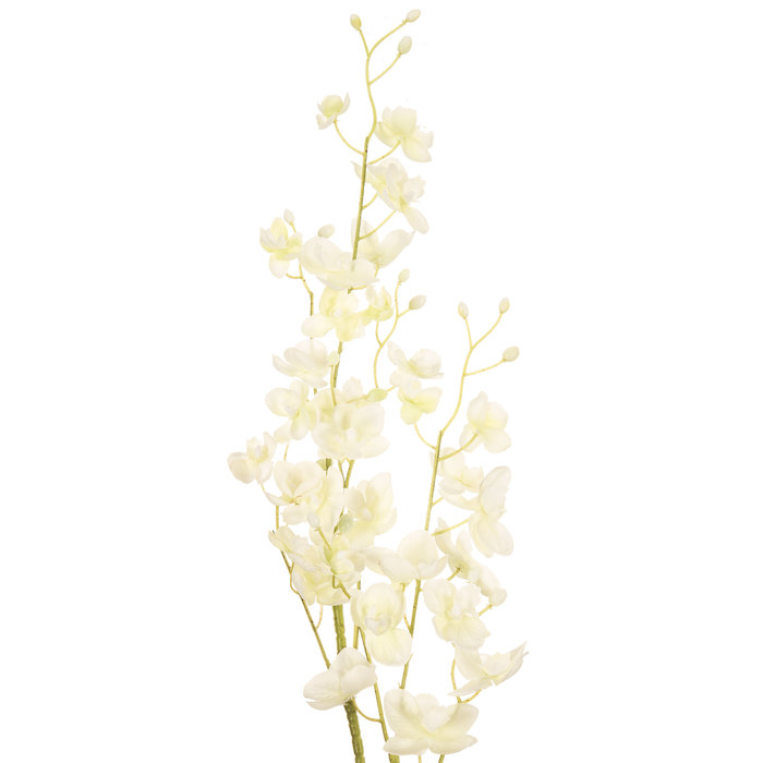 White Mini Phalaenopsis Orchid Stem Hobby Lobby 142547