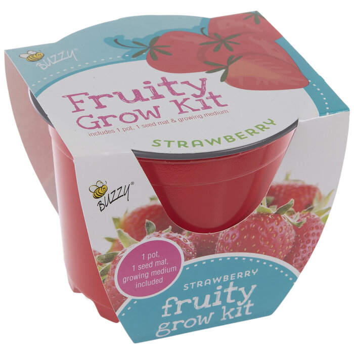 Strawberry Starter Fruit Grow Kit Hobby Lobby 405490883