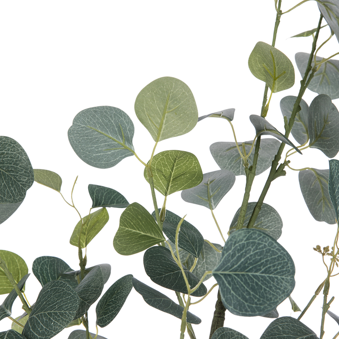 Eucalyptus Tree In Black Pot Hobby Lobby 1880863