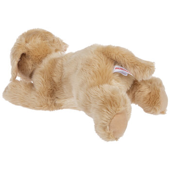 golden retriever teddy