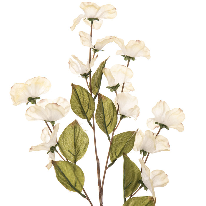 Cream Dogwood Stem Hobby Lobby 460782