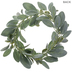 Lamb's Ear Wreath