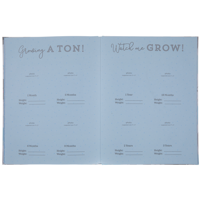 Little One Memory Book Hobby Lobby 2018083