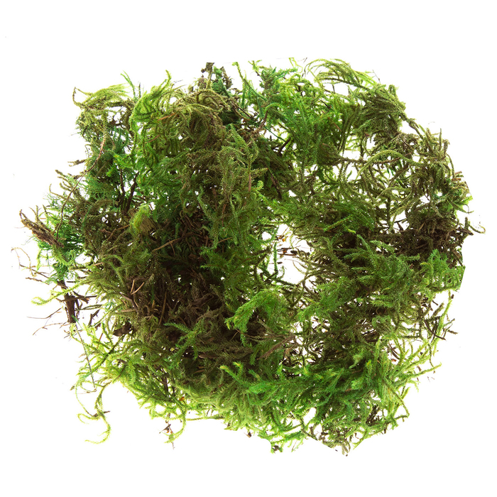 Green Deco Moss Hobby Lobby 1106061
