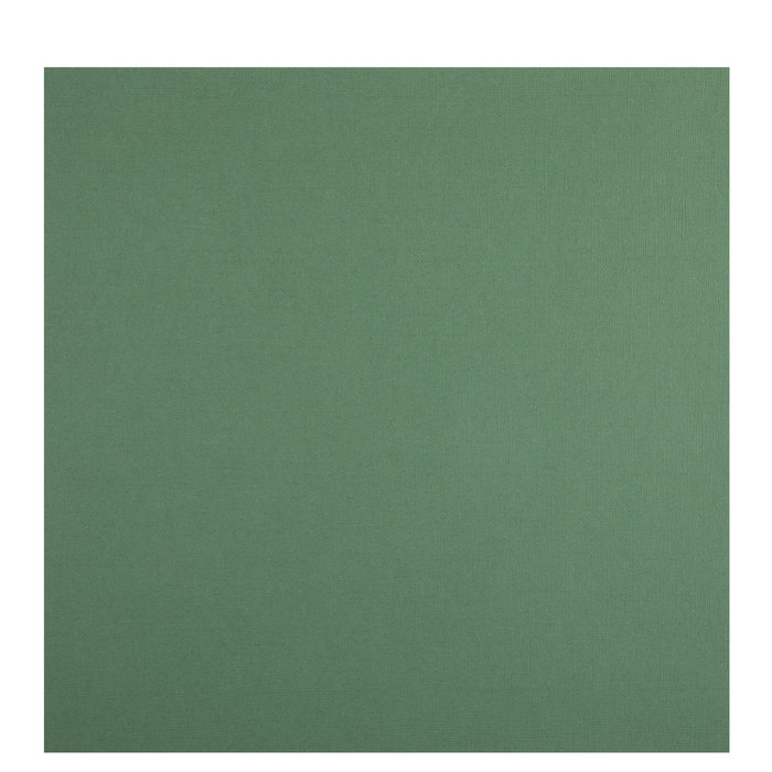 25 Sheets 12 x 12 inch Forest Green Cardstock 80Lb Cover Clear Path Paper