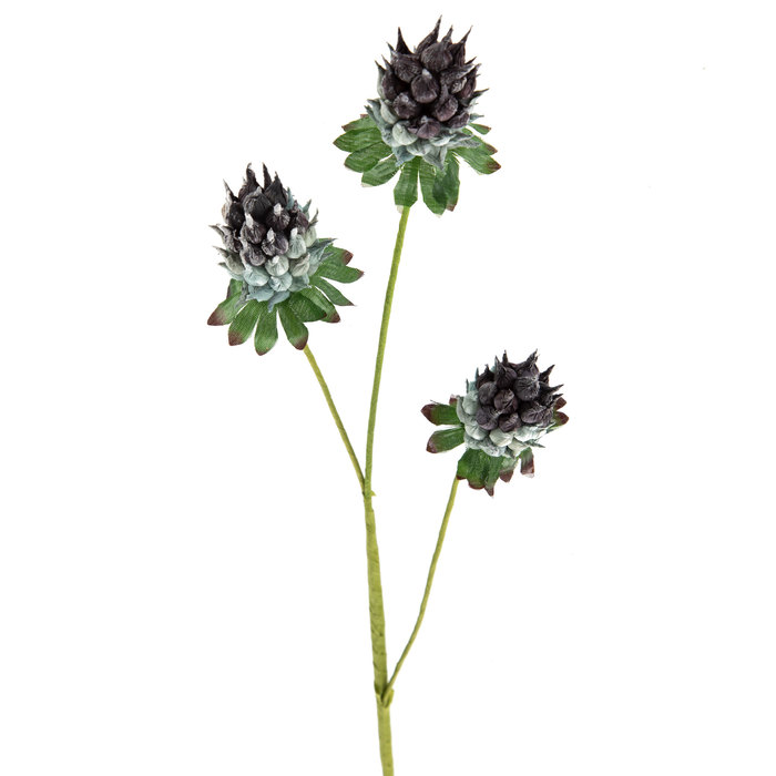 Blue Cynara Stem Hobby Lobby 746156