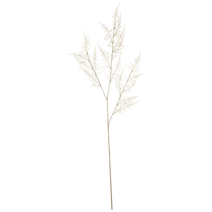 White Fern Branch Hobby Lobby 2016442