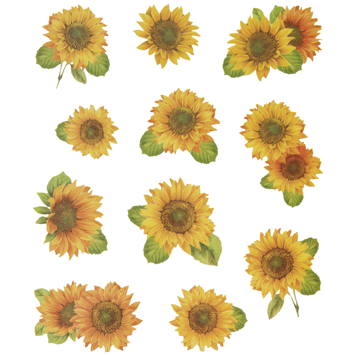 Sunflower Stickers Hobby Lobby 1975481