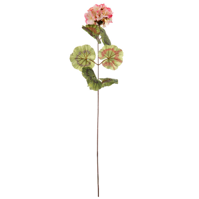 Pink Geranium Stem Hobby Lobby 930560