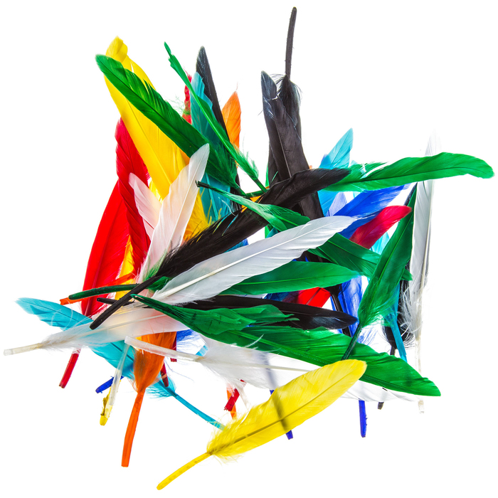 Mini Feathers Hobby Lobby 882316
