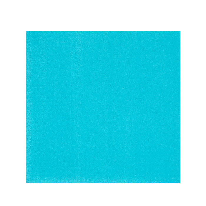 Bermuda Blue Napkins Small Hobby Lobby 616193