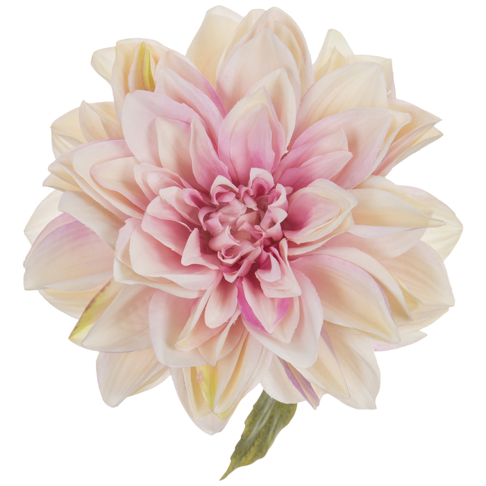 Dahlia Stem Hobby Lobby