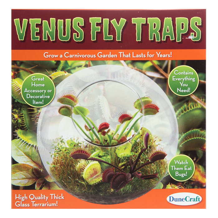 How To Take Care Of A Venus Fly Trap / Venus Flytraps Indoor Plant Care Rocket Farms : Where can you purchase a venus flytrap?