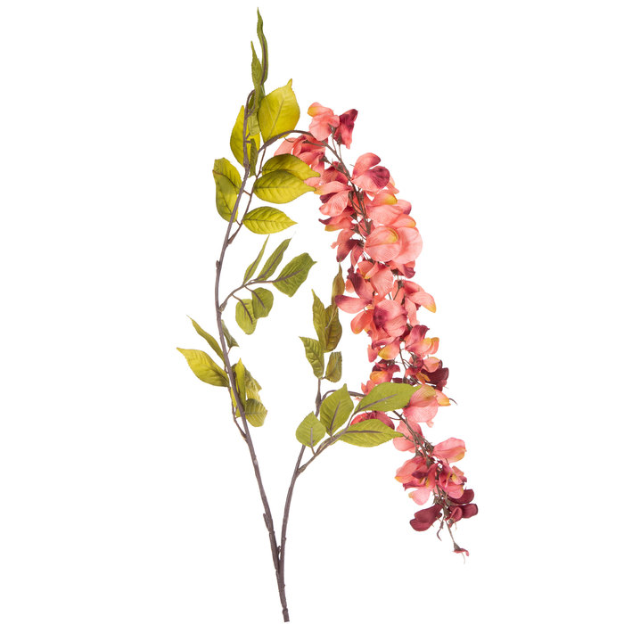 Rose Wisteria Stem Hobby Lobby 396804