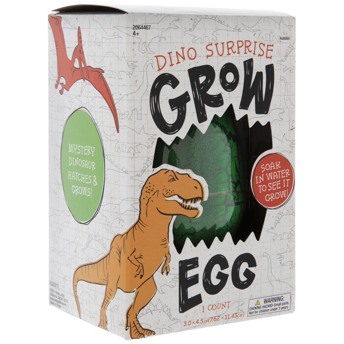 Dinosaur Surprise Grow Egg Hobby Lobby 2064467