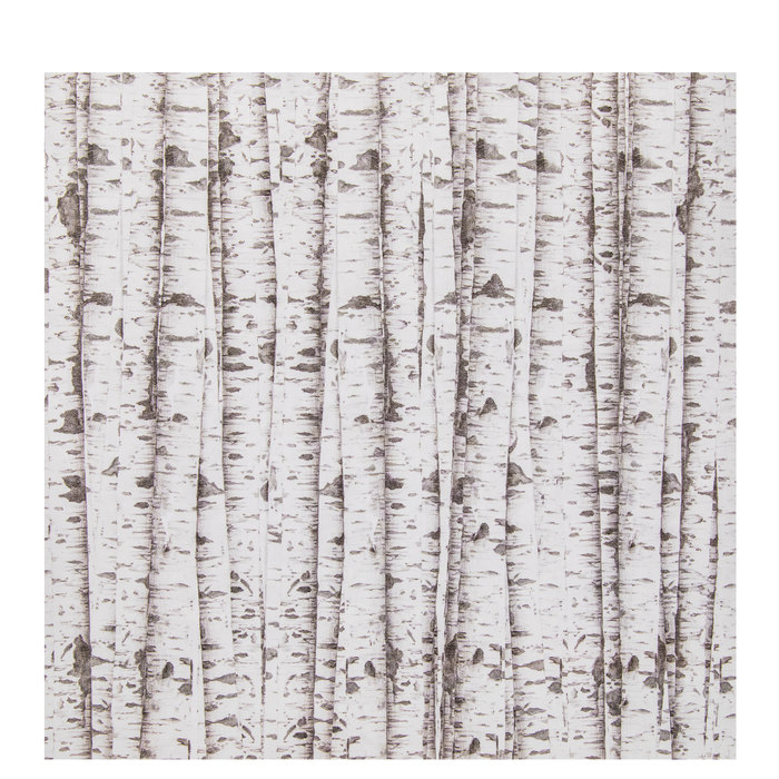 Birch Trees Scrapbook Paper 12" x 12" Hobby Lobby 1739168