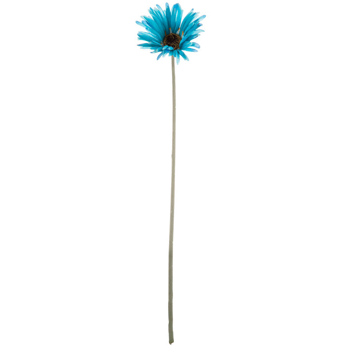 Aqua Blue Wild Gerbera Daisy Stem Hobby Lobby 366567