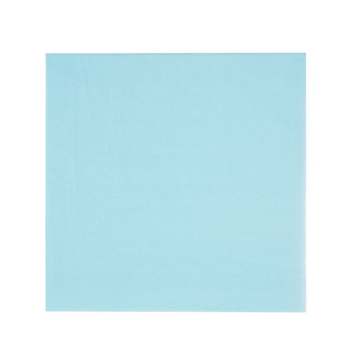 Baby Blue Napkins Small Hobby Lobby 993337