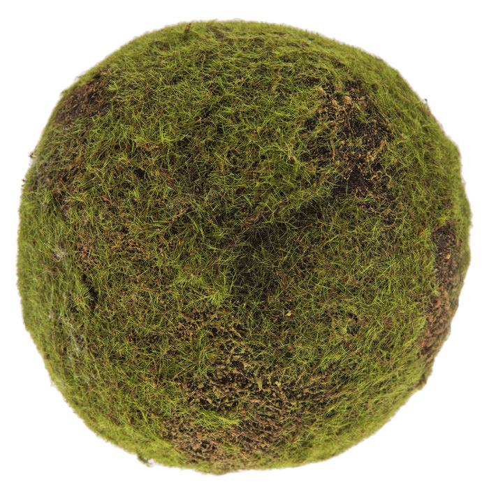 Moss Decorative Sphere Hobby Lobby 131524