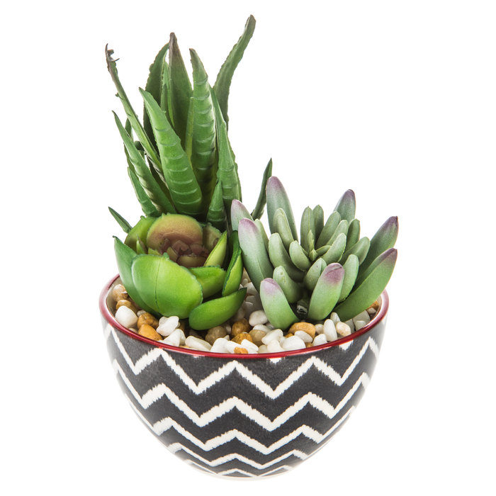 Succulents In Chevron Pot Hobby Lobby 1564988