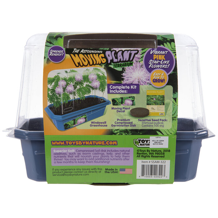 Moving Plant Terrarium Kit Hobby Lobby 1022532