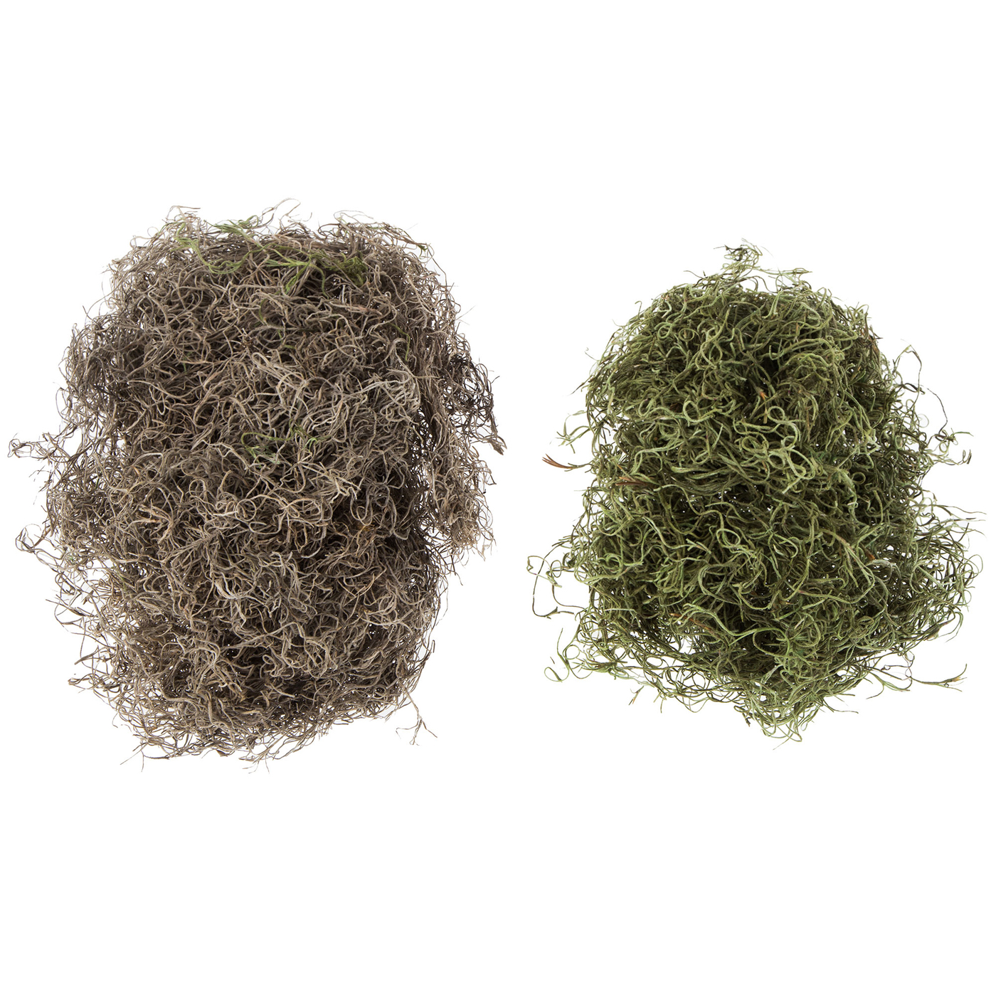 Spanish Moss In Flower Arrangements Best Flower Site