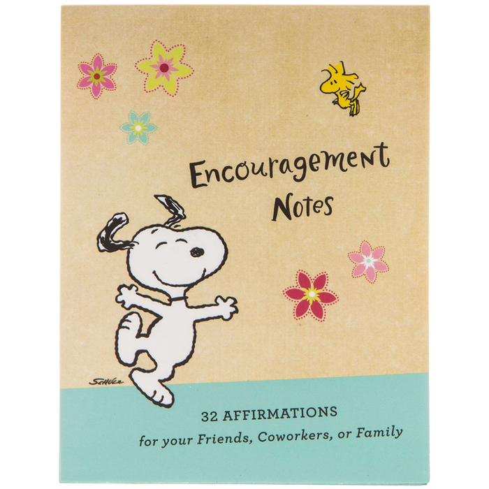 Peanuts Encouragement Notes Hobby Lobby 1605385