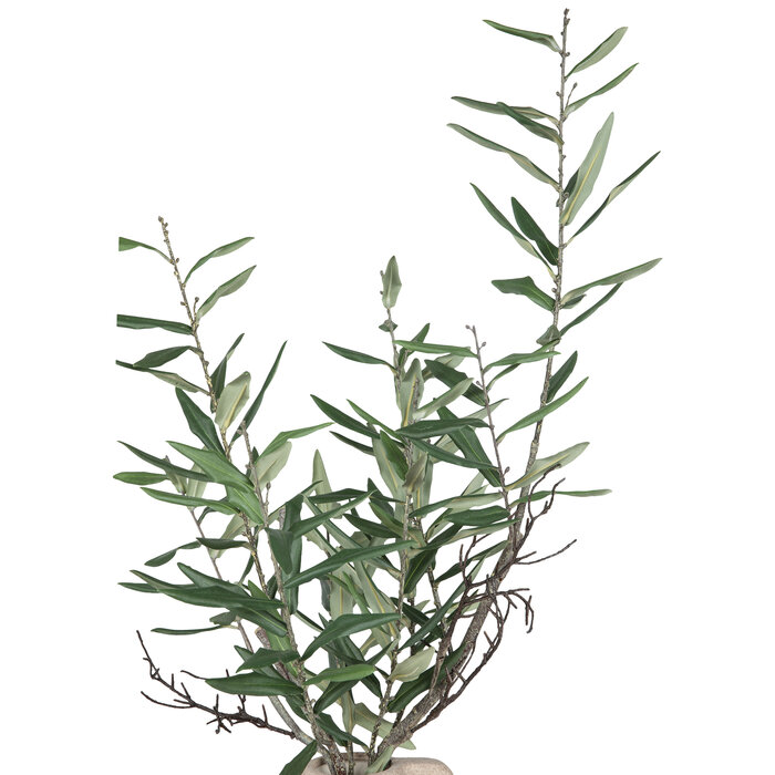 Olive Branches In Jug Hobby Lobby 2145738