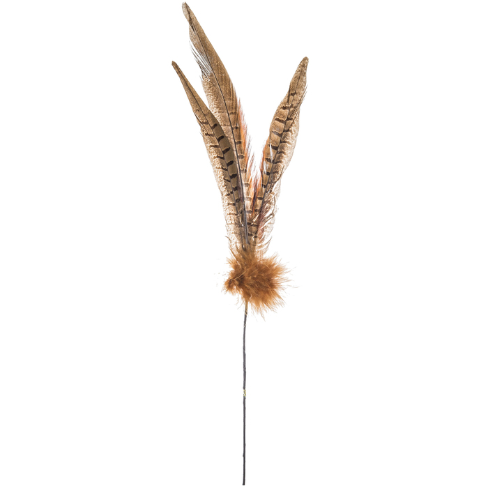 Natural Pheasant Feather Spray Hobby Lobby 138107