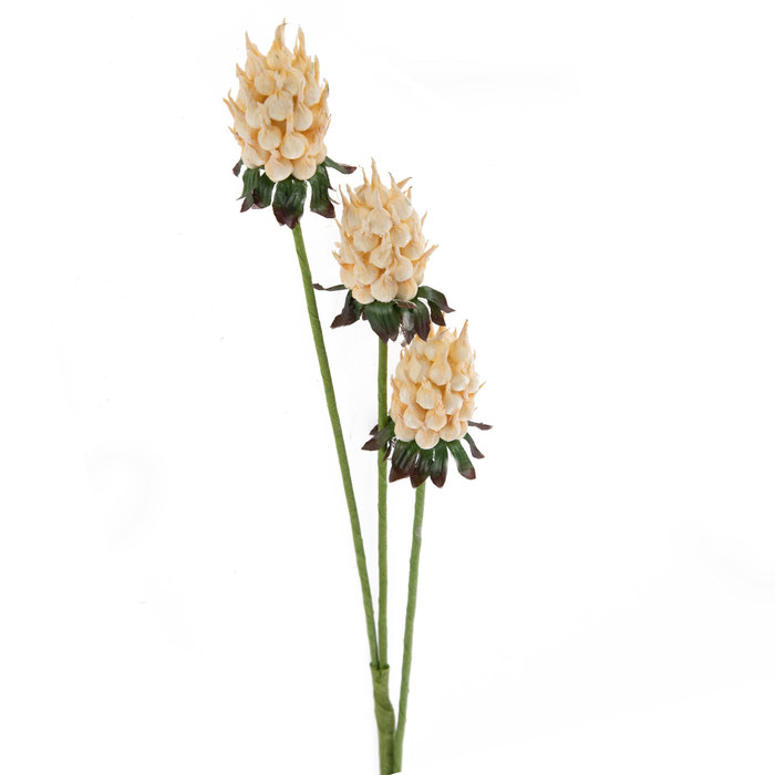 Cream Cynara Stem Hobby Lobby 746396