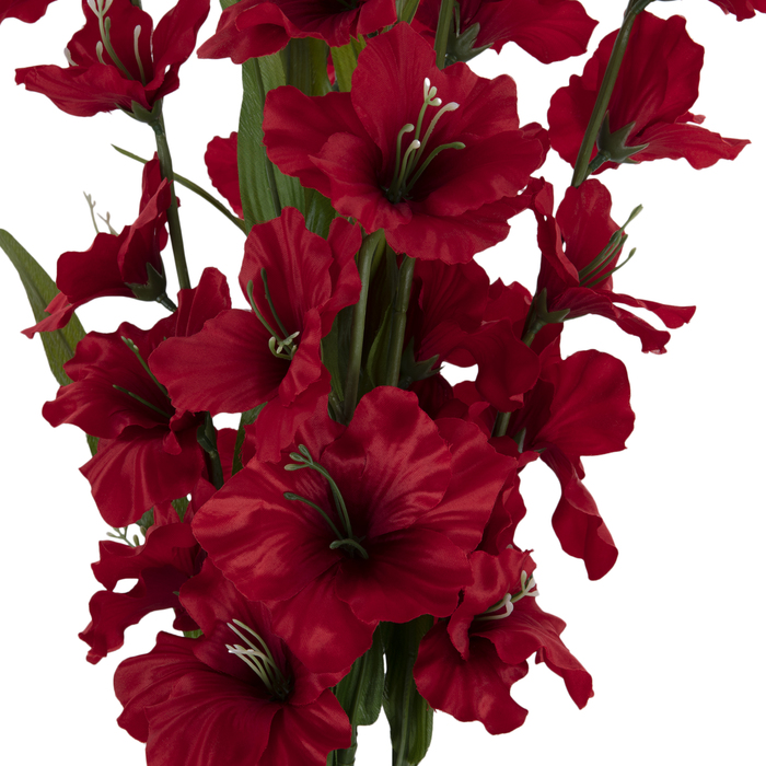 Gladiolus Bush Hobby Lobby