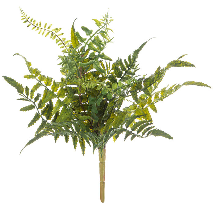 Fern Bush Hobby Lobby 1599786