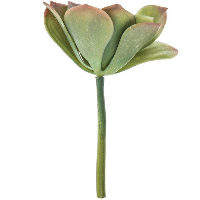 Succulent Pick Hobby Lobby 1564236